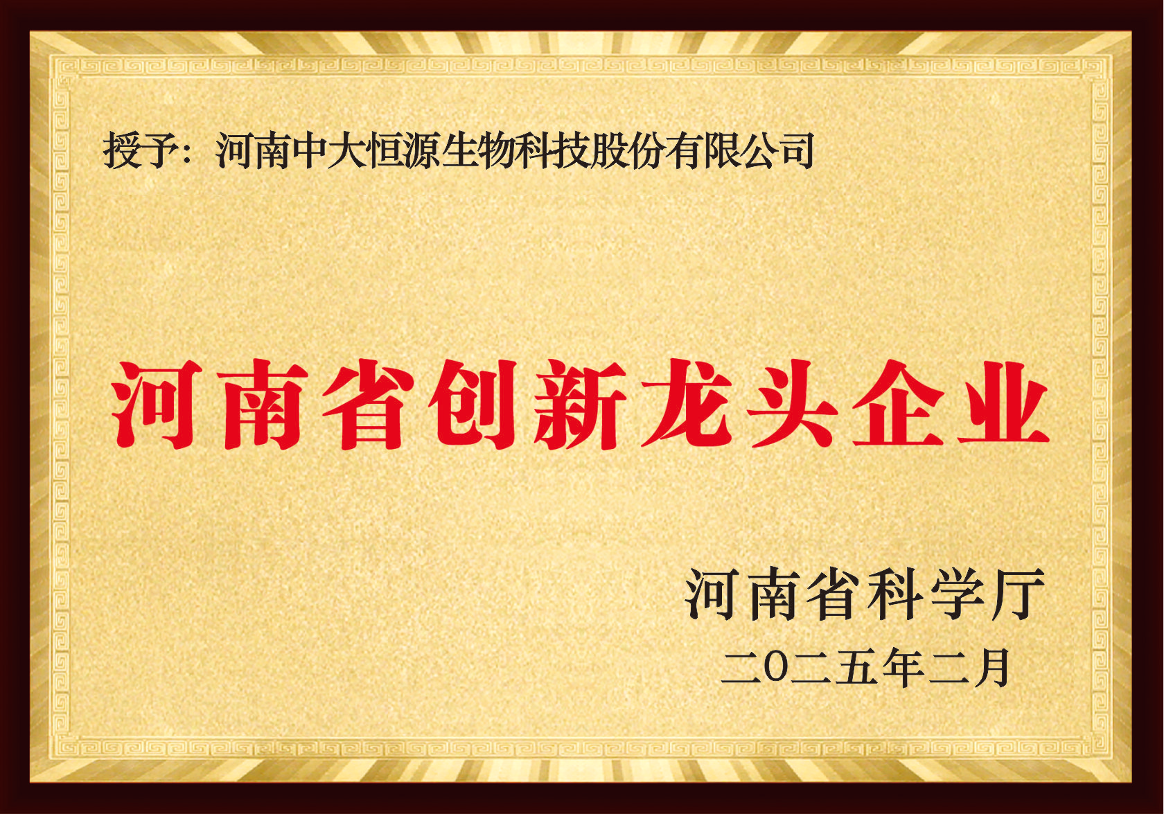 河南省创新龙头企业